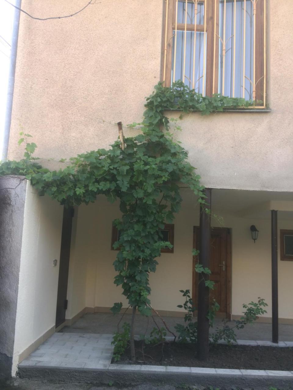 Guest House Kartuli Suli テラヴィ エクステリア 写真